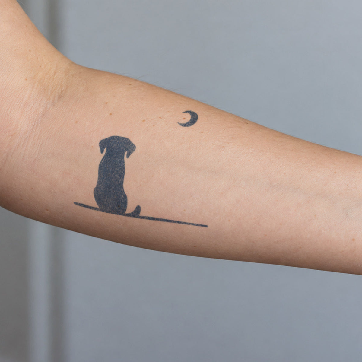 Minimalist temporary tattoos featuring a seated dog silhouette beneath a crescent moon in blue-black ink on the arm.