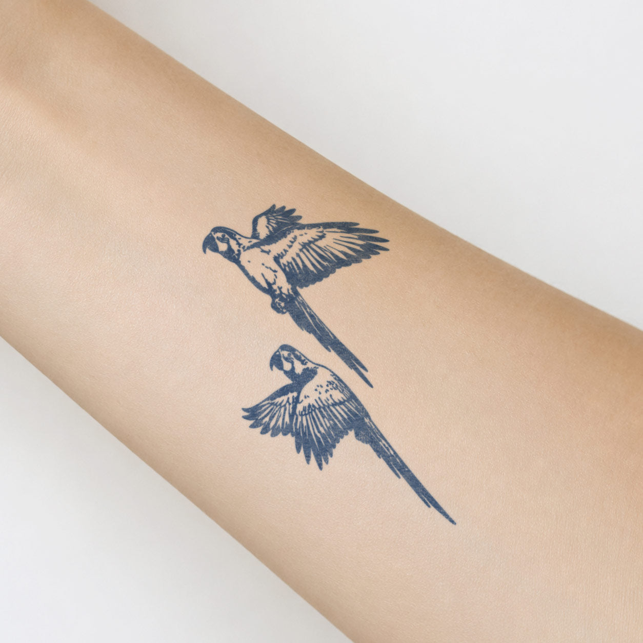 Detailed semi-permanent tattoo featuring two parrots in flight with finely illustrated feathers on the forearm.