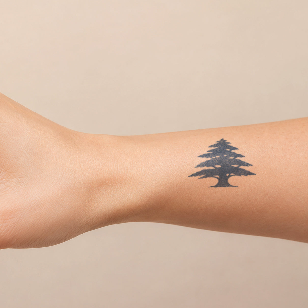 Simple black pine tree tattoo design placed on the forearm, featuring a clean silhouette style inspired by nature, forests, and outdoor adventures. A minimal temporary tattoo with a calm and natural aesthetic.