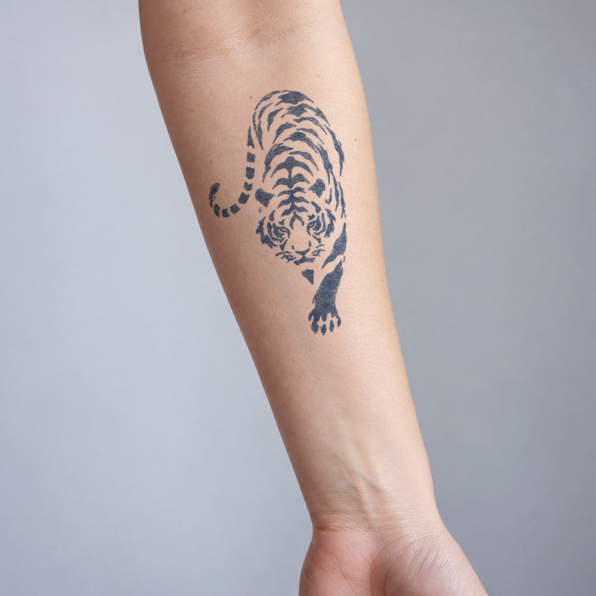 Realistic temporary tattoos featuring a prowling tiger in detailed blue-black ink on the inner forearm.