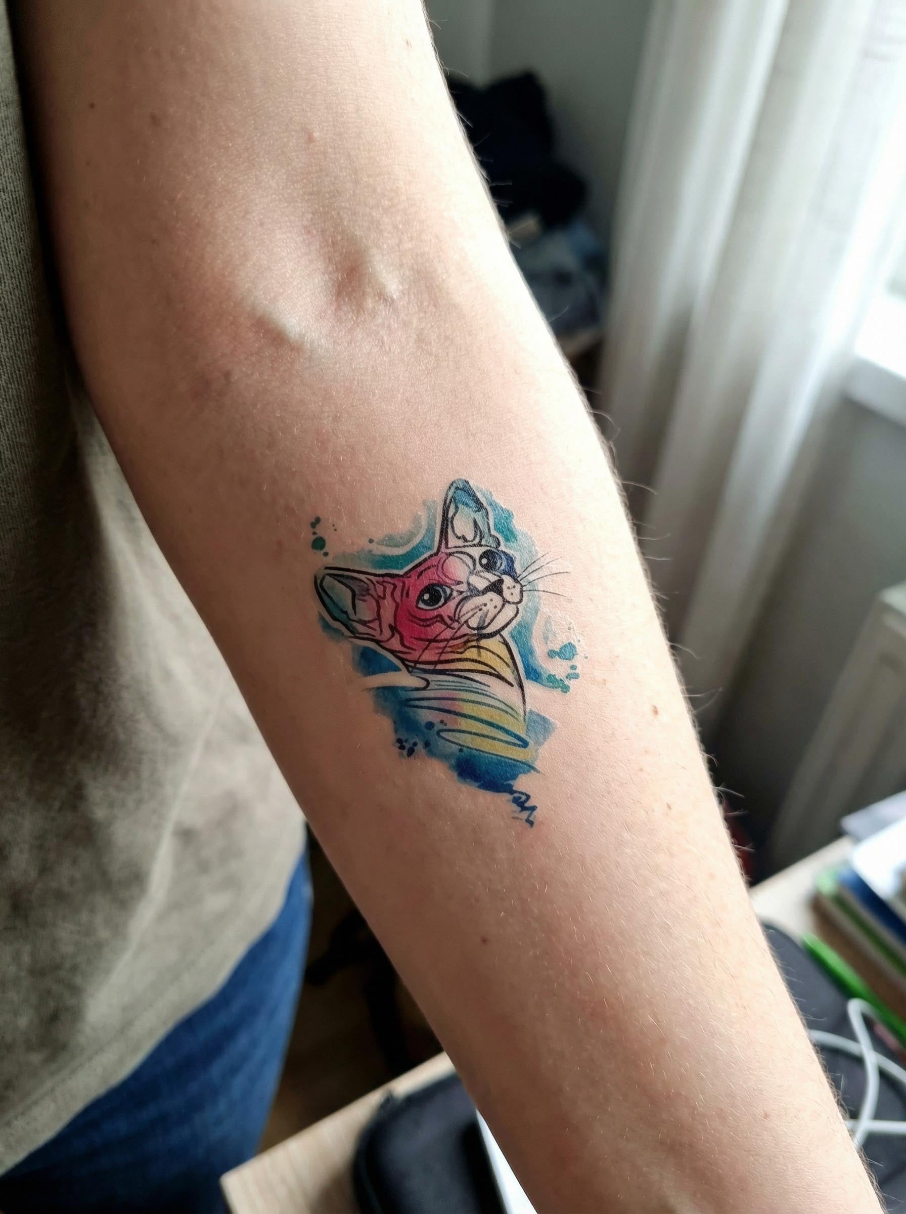  Watercolor Sphynx Cat Forearm Tattoo Real Shot
