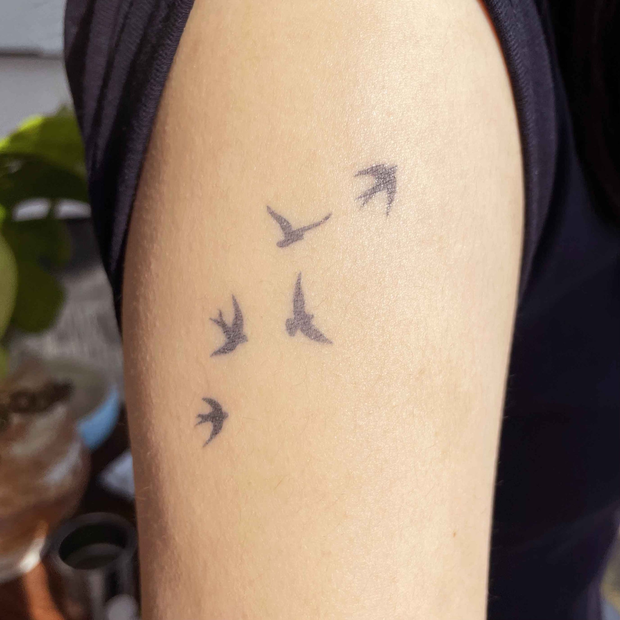 Flying swallow temporary arm tattoos shown on skin.