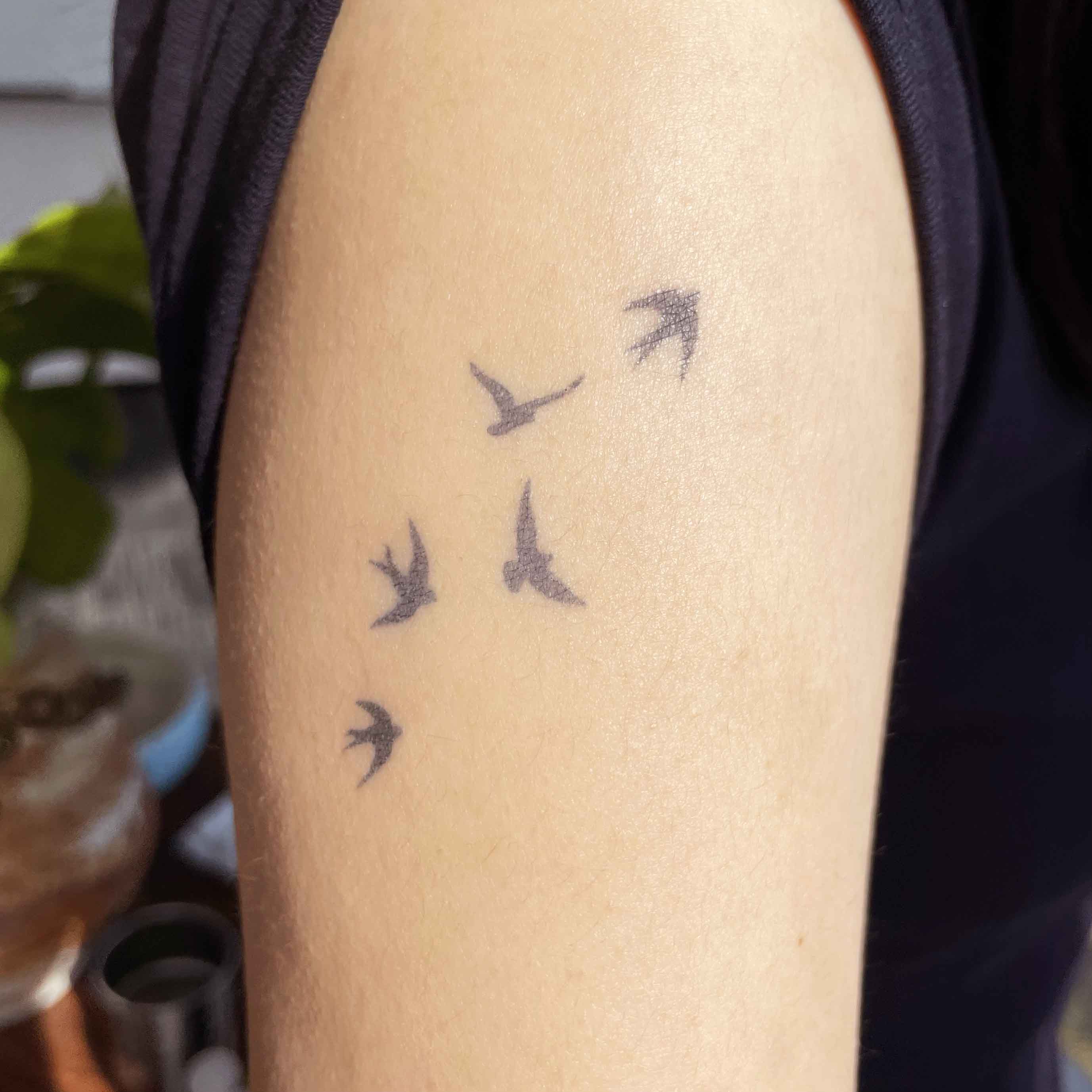 Flying swallow temporary arm tattoos shown on skin.