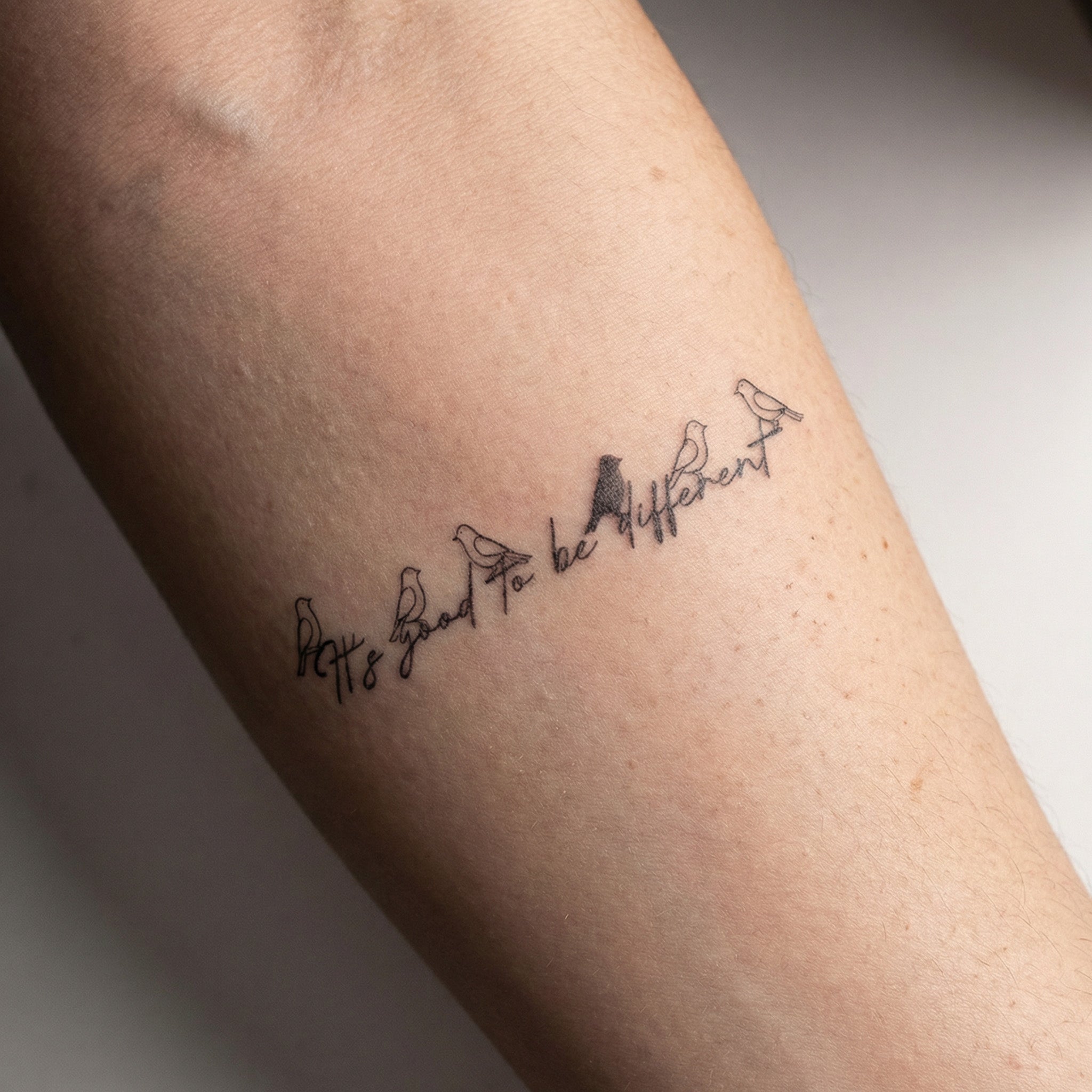 Minimal bird quote temp tattoo on forearm