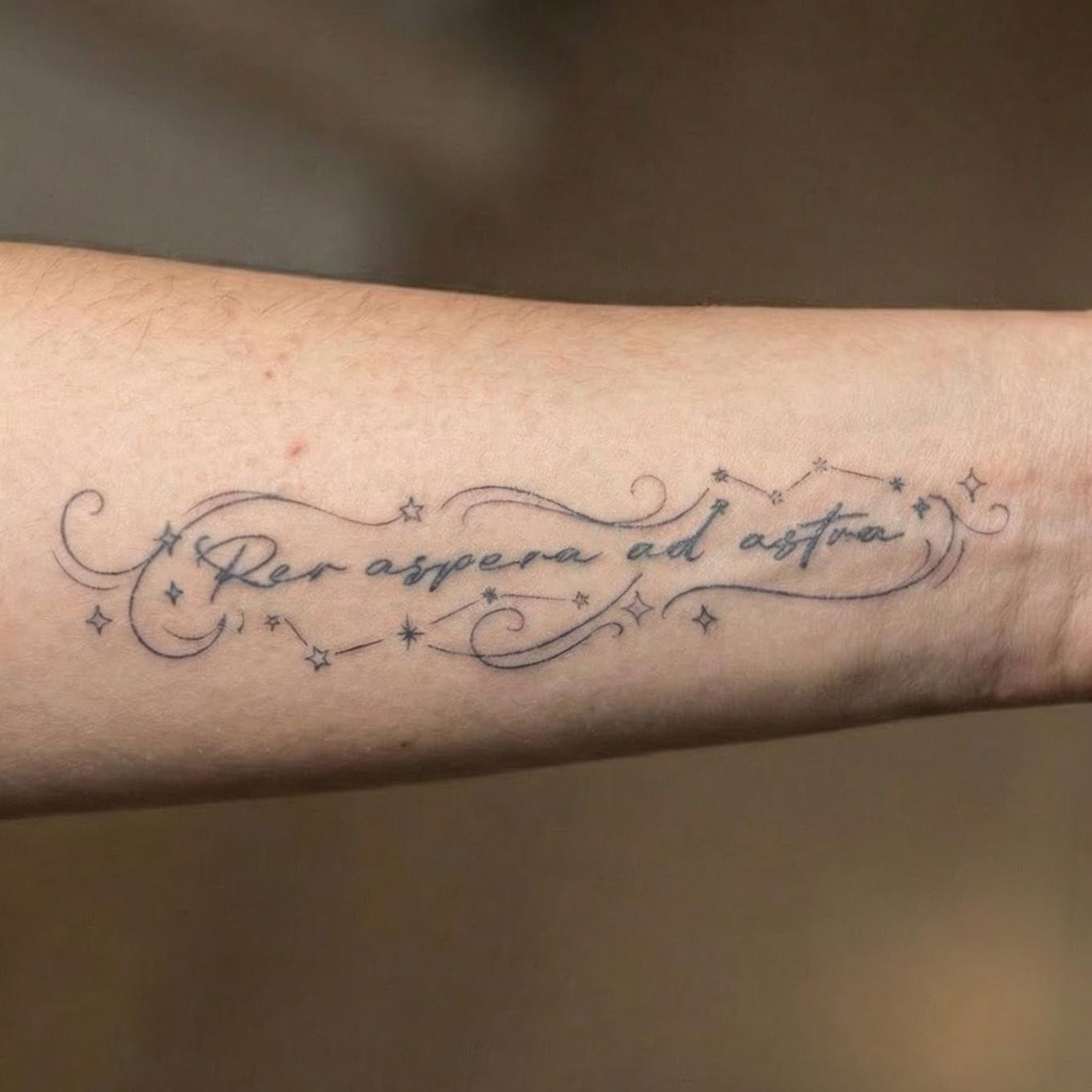 fine line script temporary tattoo with latin phrase "per aspera ad astra" minimalist forearm tattoo design