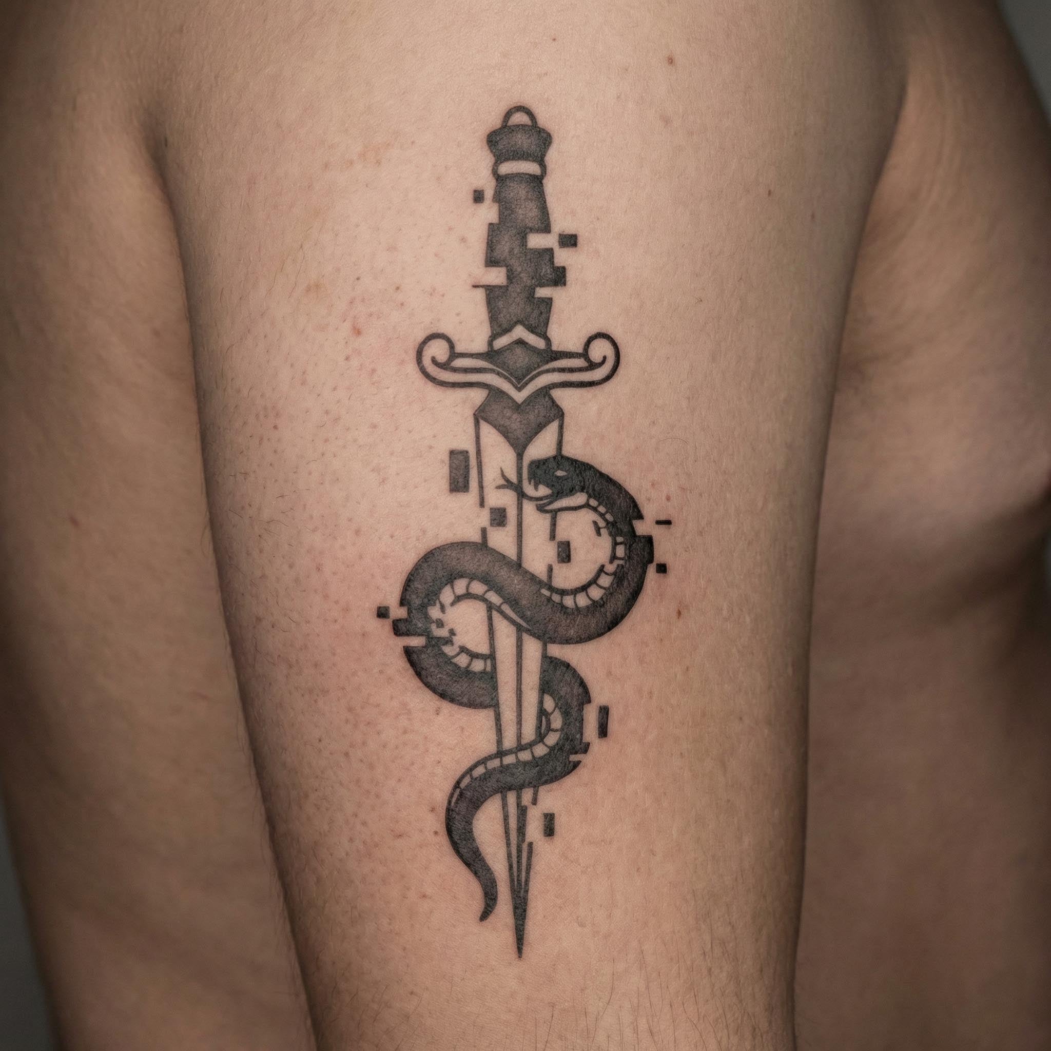 Bold snake dagger tattoo worn on forearm with dark line art details